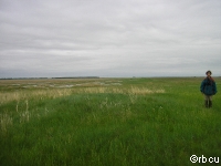 ����� �����.  ���� �.�. �������